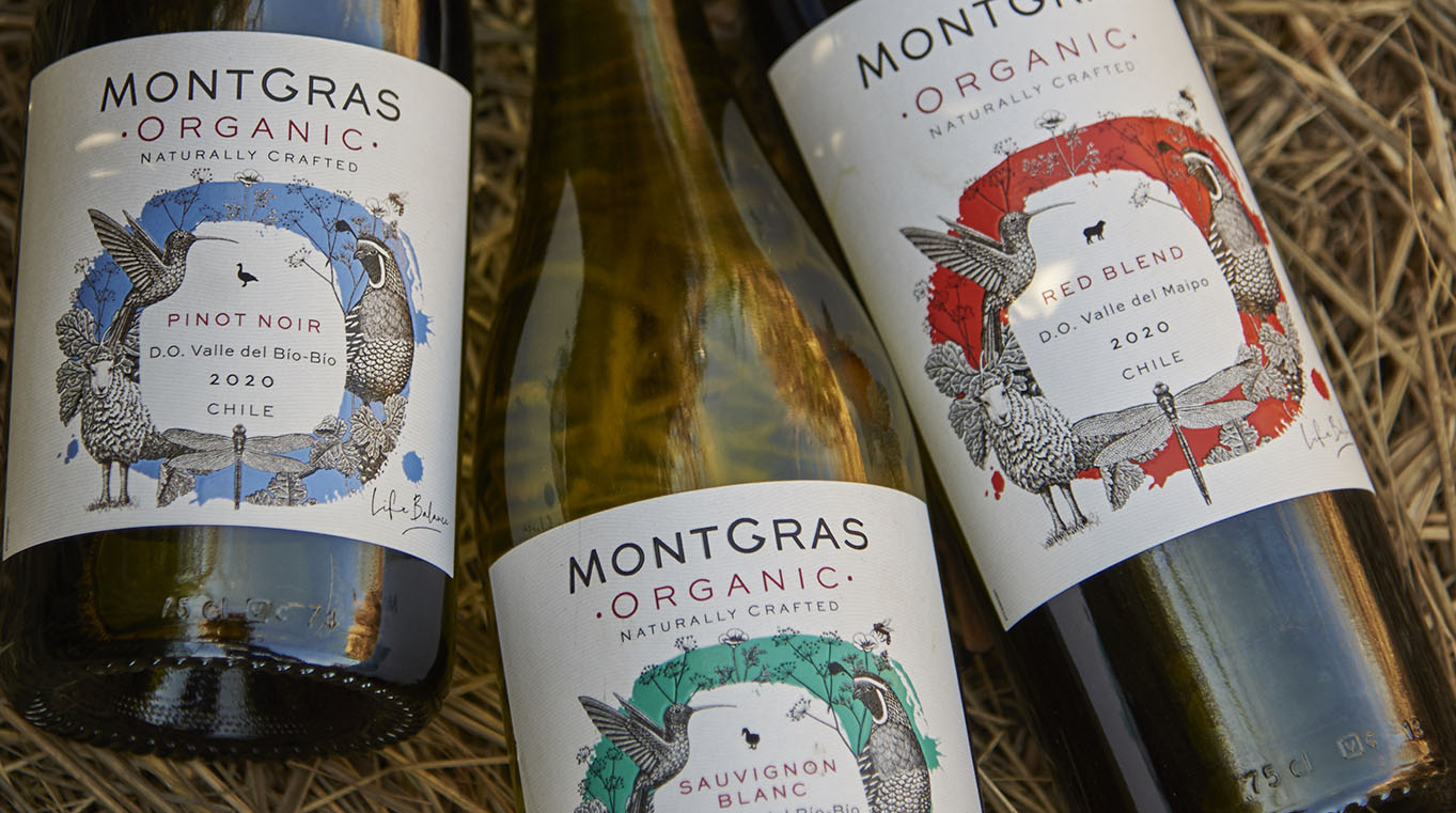 En este momento estás viendo ¡El packaging de MontGras Organic es elegido como el mejor de Chile!