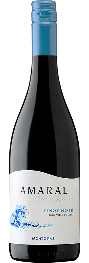 WEB MONTGRAS - Bottleshot_AM PN Cool