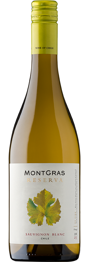MontGras Reserva De Vine Sauvignon Blanc