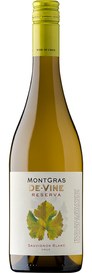 MontGras Reserva De Vine Sauvignon Blanc