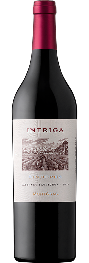 Intriga Linderos by MontGras Cabernet Sauvignon Maipo Andes