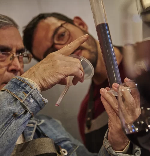 Make Your Own Wine 04