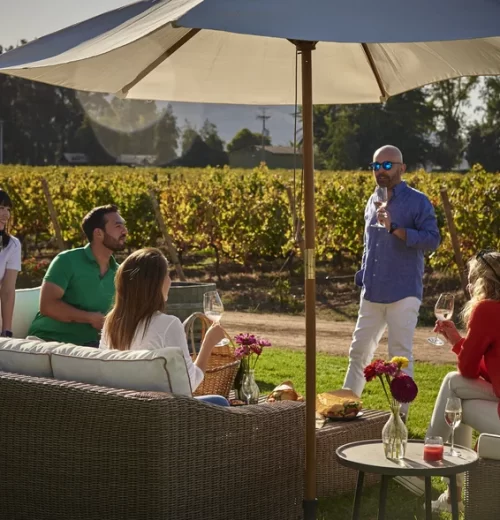 Picnic and Lounge 06