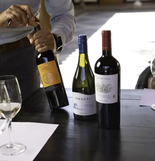 Tasting Vinos y Sabores 01