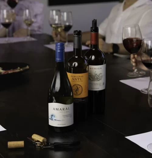 Tasting Vinos y Sabores 05